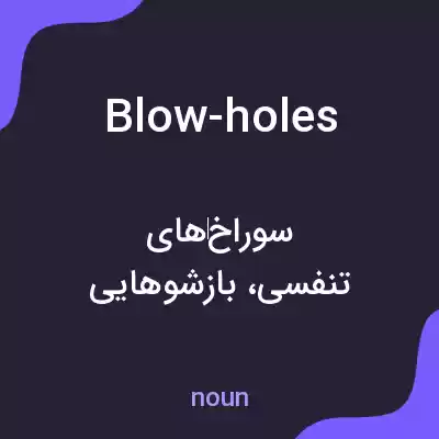 معنی blow-holes به فارسی معنی blow-holes به فارسی