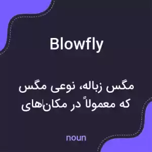 معنی blowfly به فارسی معنی blowfly به فارسی