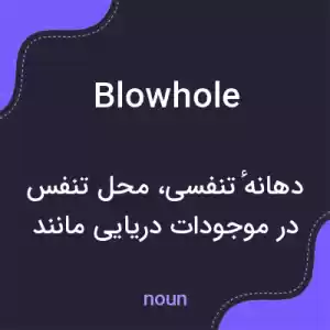 معنی blowhole به فارسی معنی blowhole به فارسی