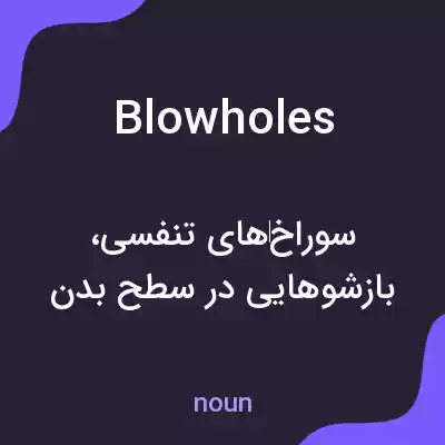 معنی blowholes به فارسی معنی blowholes به فارسی