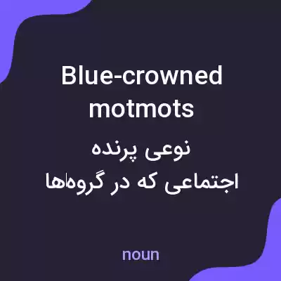 معنی blue-crowned motmots به فارسی معنی blue-crowned motmots به فارسی