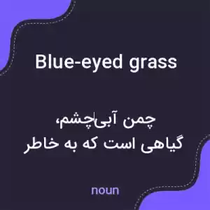 معنی blue-eyed grass به فارسی معنی blue-eyed grass به فارسی