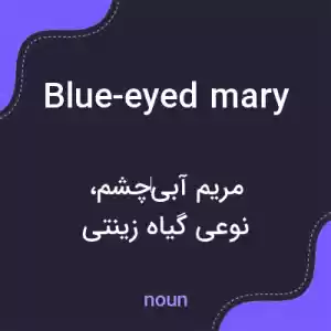 معنی blue-eyed mary به فارسی معنی blue-eyed mary به فارسی