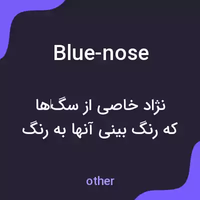 معنی blue-nose به فارسی معنی blue-nose به فارسی