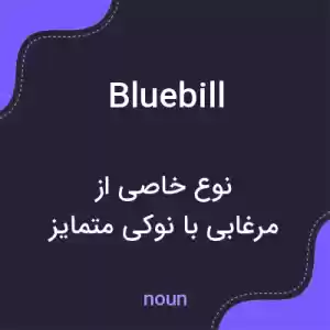 معنی bluebill به فارسی معنی bluebill به فارسی