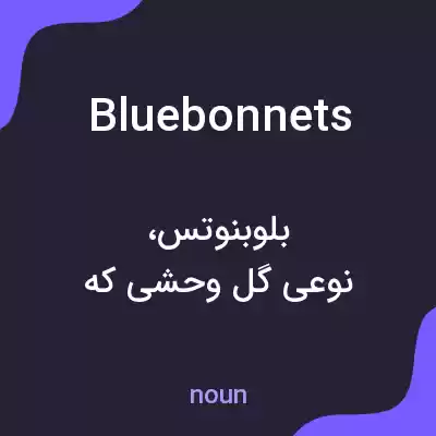 معنی bluebonnets به فارسی معنی bluebonnets به فارسی