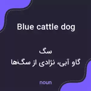 معنی blue cattle dog به فارسی معنی blue cattle dog به فارسی