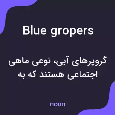 معنی blue gropers به فارسی معنی blue gropers به فارسی