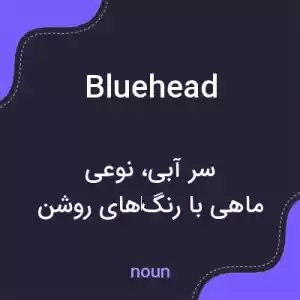 معنی bluehead به فارسی معنی bluehead به فارسی