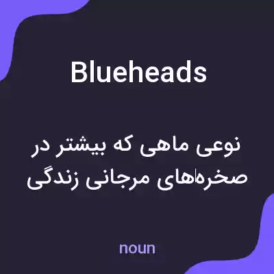 معنی blueheads به فارسی