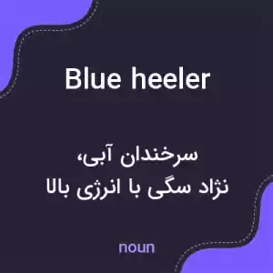 معنی blue heeler به فارسی معنی blue heeler به فارسی