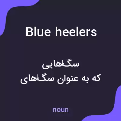معنی blue heelers به فارسی