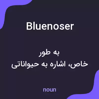 معنی bluenoser به فارسی معنی bluenoser به فارسی