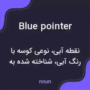 معنی blue pointer به فارسی معنی blue pointer به فارسی