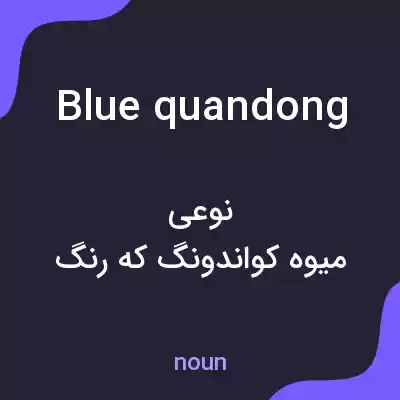 معنی blue quandong به فارسی معنی blue quandong به فارسی