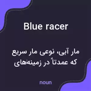 معنی blue racer به فارسی معنی blue racer به فارسی