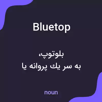 معنی bluetop به فارسی
