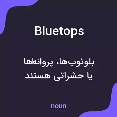 معنی bluetops به فارسی معنی bluetops به فارسی