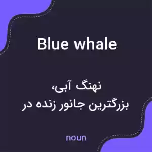 معنی blue whale به فارسی معنی blue whale به فارسی