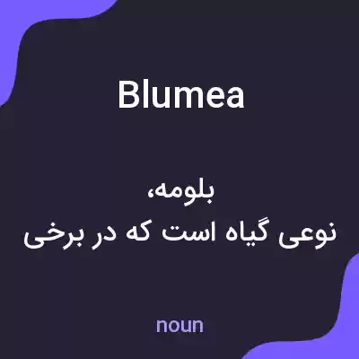 معنی blumea به فارسی معنی blumea به فارسی