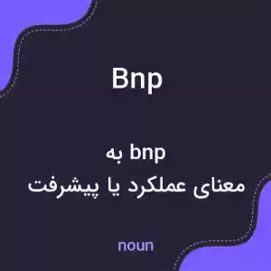 معنی bnp به فارسی