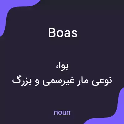 معنی boas به فارسی معنی boas به فارسی