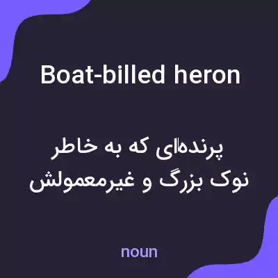 معنی boat-billed heron به فارسی معنی boat-billed heron به فارسی