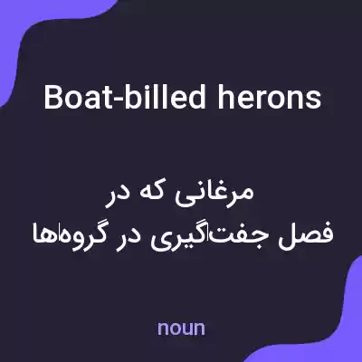 معنی boat-billed herons به فارسی معنی boat-billed herons به فارسی