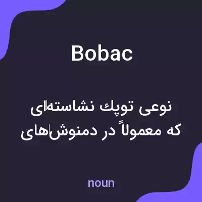 معنی bobac به فارسی معنی bobac به فارسی