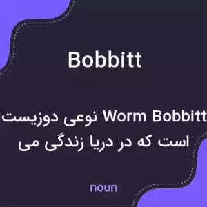 معنی bobbitt به فارسی معنی bobbitt به فارسی