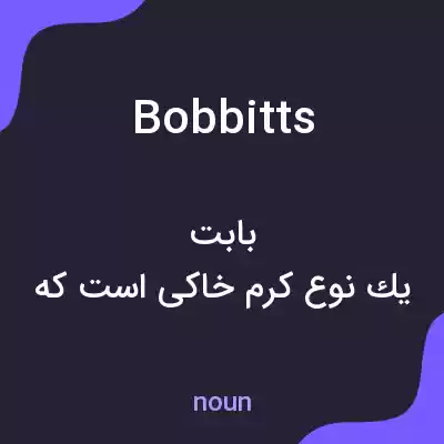 معنی bobbitts به فارسی