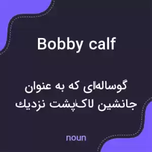 معنی bobby calf به فارسی
