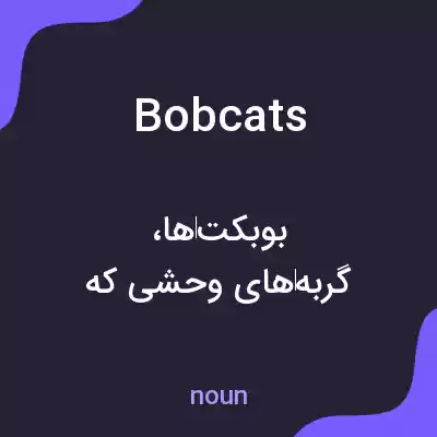 معنی bobcats به فارسی معنی bobcats به فارسی