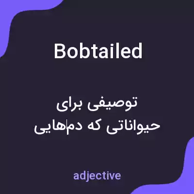 معنی bobtailed به فارسی معنی bobtailed به فارسی