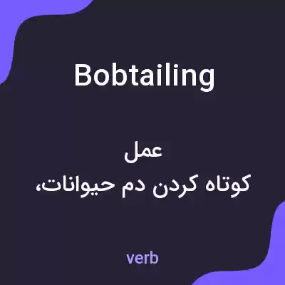معنی bobtailing به فارسی معنی bobtailing به فارسی