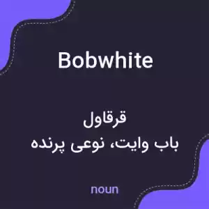 معنی bobwhite به فارسی