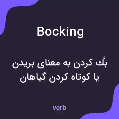 معنی bocking به فارسی معنی bocking به فارسی