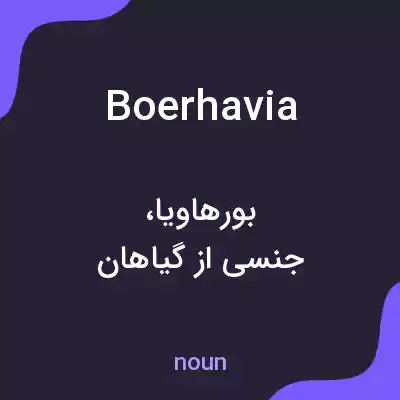 معنی boerhavia به فارسی معنی boerhavia به فارسی
