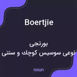 معنی boertjie به فارسی