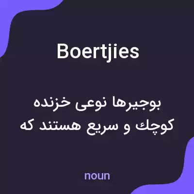 معنی boertjies به فارسی معنی boertjies به فارسی