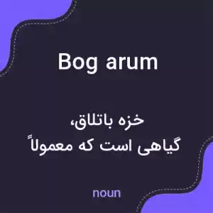 معنی bog arum به فارسی معنی bog arum به فارسی