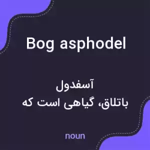 معنی bog asphodel به فارسی معنی bog asphodel به فارسی