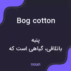 معنی bog cotton به فارسی معنی bog cotton به فارسی