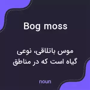 معنی bog moss به فارسی معنی bog moss به فارسی