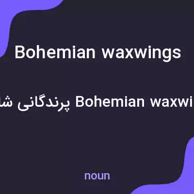 معنی bohemian waxwings به فارسی معنی bohemian waxwings به فارسی