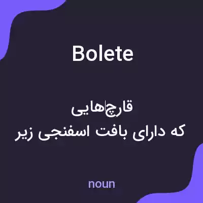 معنی bolete به فارسی معنی bolete به فارسی