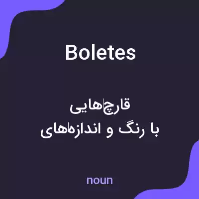 معنی boletes به فارسی معنی boletes به فارسی