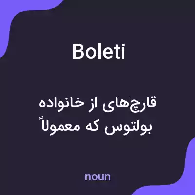 معنی boleti به فارسی معنی boleti به فارسی