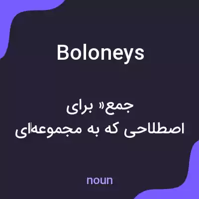 معنی boloneys به فارسی معنی boloneys به فارسی