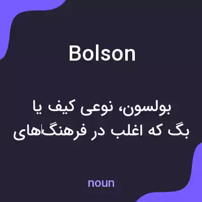 معنی bolson به فارسی معنی bolson به فارسی